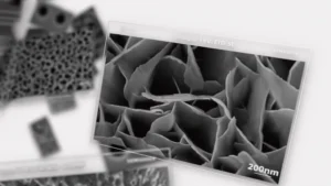 CIQTEK FE-SEM Field Emission Scanning Electron Microscope SEM5000X Screenshots (1)